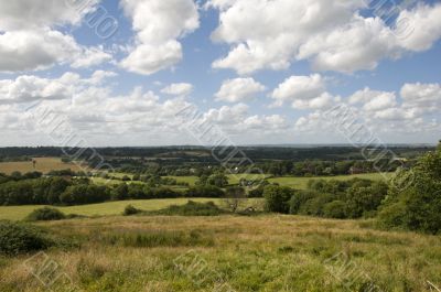 Rural scene