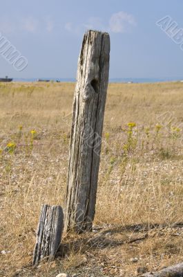 Post on a beach