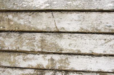 Boat wood