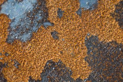 Rusty