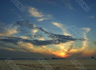 sunset wheatfield france