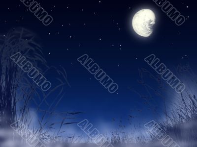 Night landscape