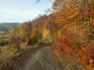 autum road