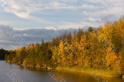 sunny autumn evening