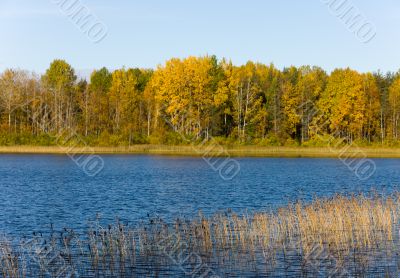 Autumn lake