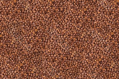 Coffee beans texture