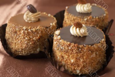 Miniature chocolate cakes