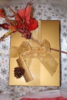 Christmas Present