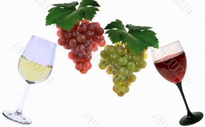 Grapes and vine