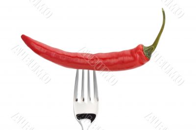 pepper