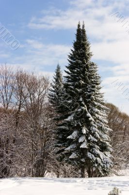 Calmness after snowstorm