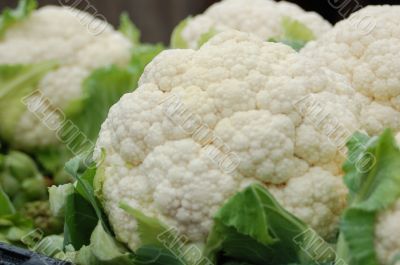 White Cauliflower