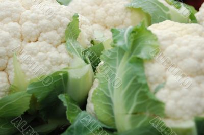 Fresh Cauliflower