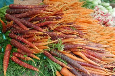 Mixed Carrot Bunch