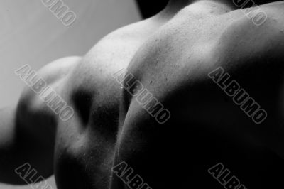 muscular back