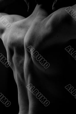 muscular back