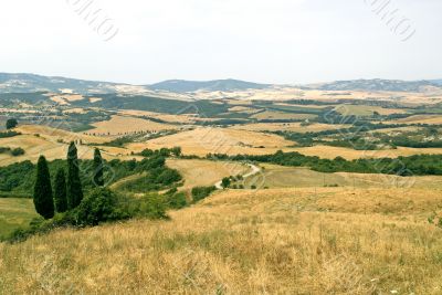 Landscape in Val d`Orcia (Tuscany)