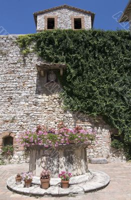 Corciano (Perugia) - Stone well with flowers