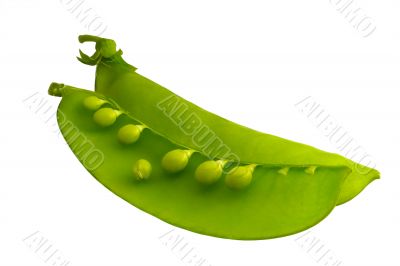Two pods of peas
