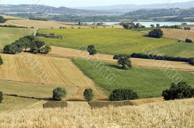 Landscape in Tuscany