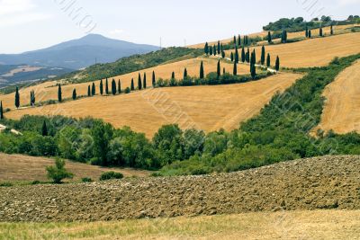 Famous winding road with cypresses in Tuscany