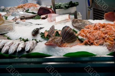 Seafood on the market