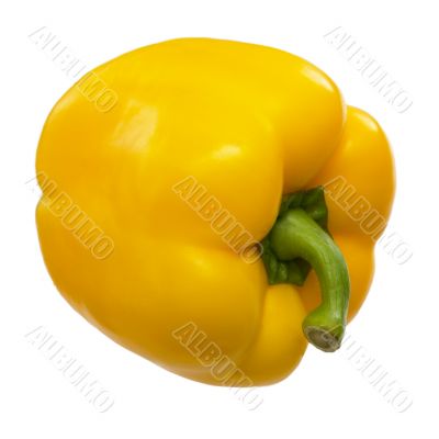 Sweet bell yellow paprica