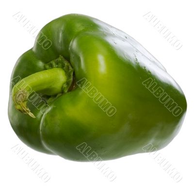 Sweet bell green paprica