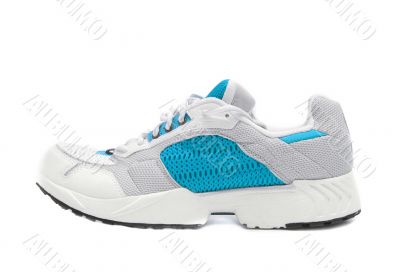 shoe