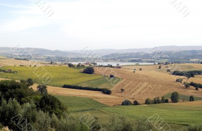 Landscape in Tuscany at summer
