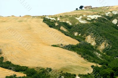 Landscape in Val d`Orcia (Tuscany)