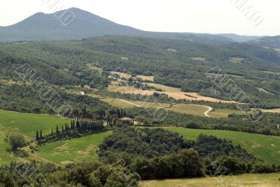 Landscape near Sarteano (Tuscany) at summer