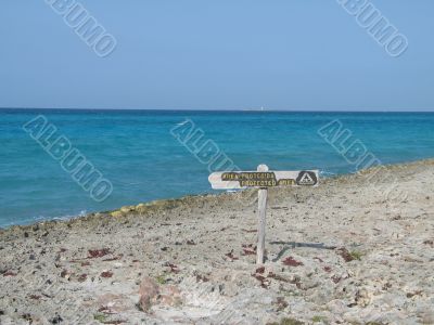 blue tropical ocean view