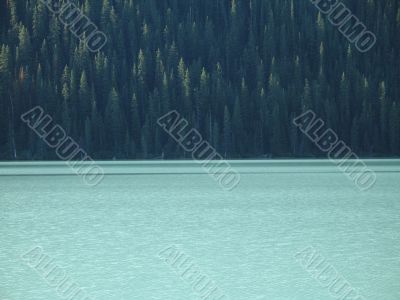 calm lake and forest