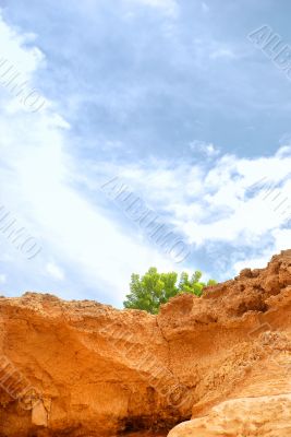 Lone tree growing on side of rocky cliff with Blue sky and cloud