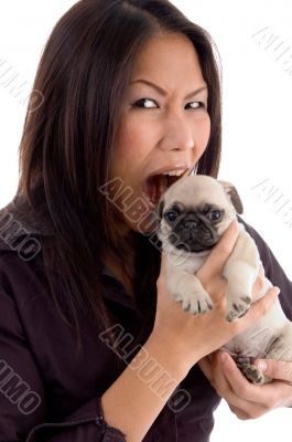 shouting female holding puppy