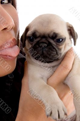 young female licking puppy