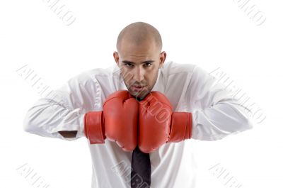 businessman posing with boxing gloves