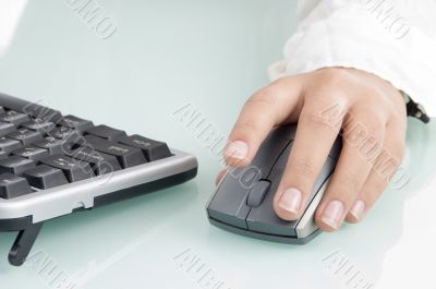 mouse in woman`s hand