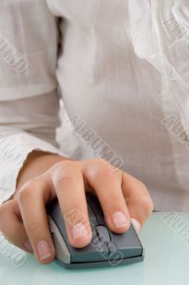 mouse in female`s hand
