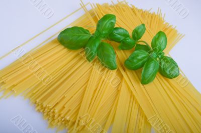 Spaghetti