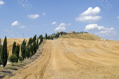 Crete senesi, characteristic landscape in Val d`Orcia