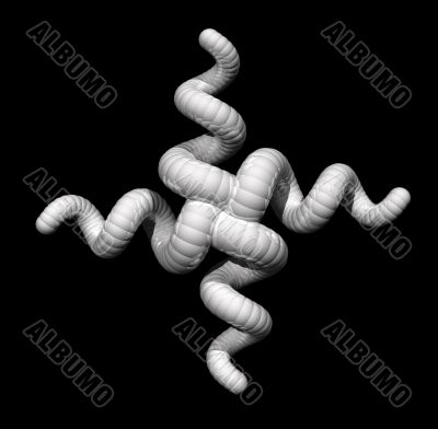 worms