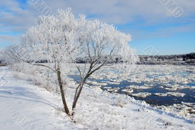 Hoarfrost on the river