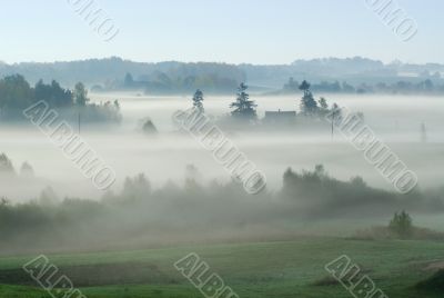 Foggy morning