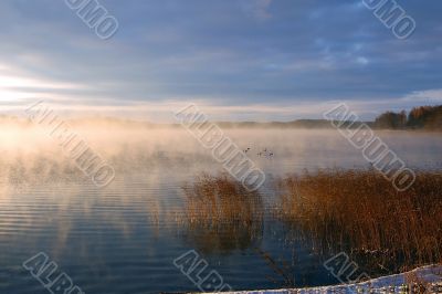 Morning on lake