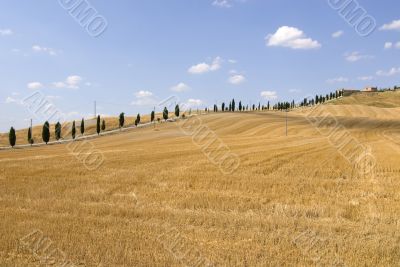 Crete senesi, characteristic landscape in Val d`Orcia
