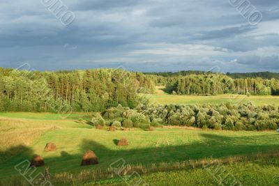 Green field