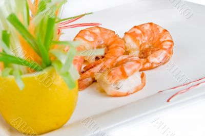 Prawn