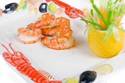 Prawn